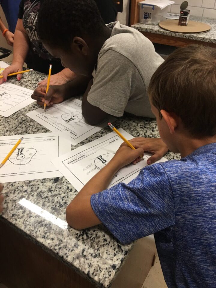 Kids doing science classwork